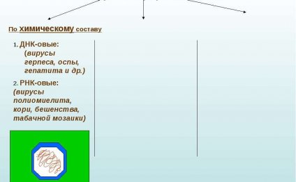 Гдз по географии 9 класс