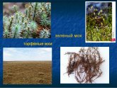 Решебник по Английскому Языку 7 Класс Учебник