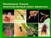 Решебник по Биологии 6 Класс Учебник