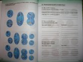 Решебник по Географии 6